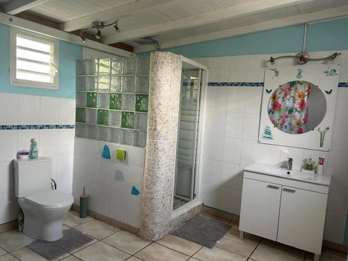 a bathroom with a shower and a toilet and a sink at Le cocon de Coco in Lamentin