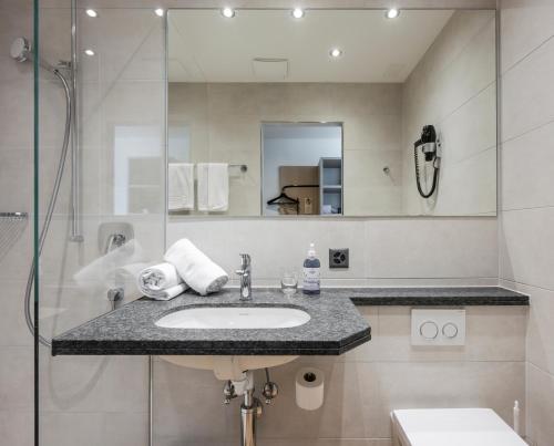 a bathroom with a sink and a shower at stay flex Hotel & Apartment in Hertenstein