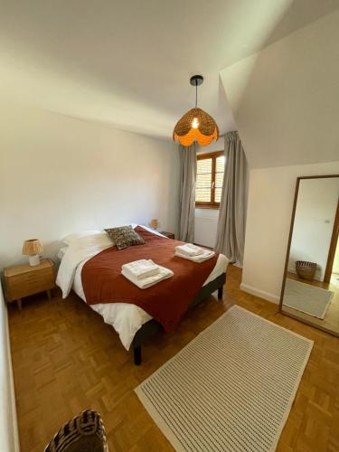 a bedroom with a bed and a mirror in it at Maison Maragelie in Westhoffen