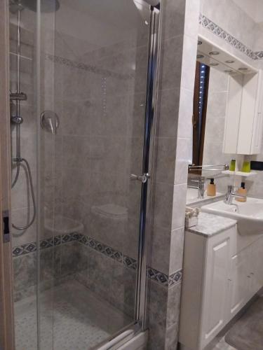 a bathroom with a shower and a sink at Spazioso appartamento su due piani in Leinì