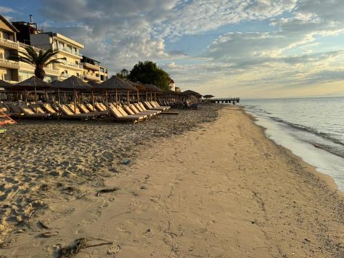 Paralia Garden Apartment