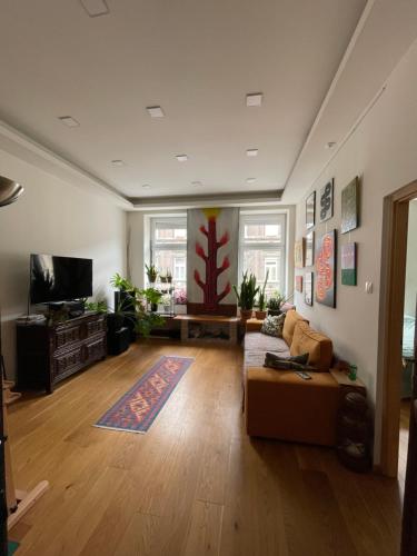 Bohemian Home