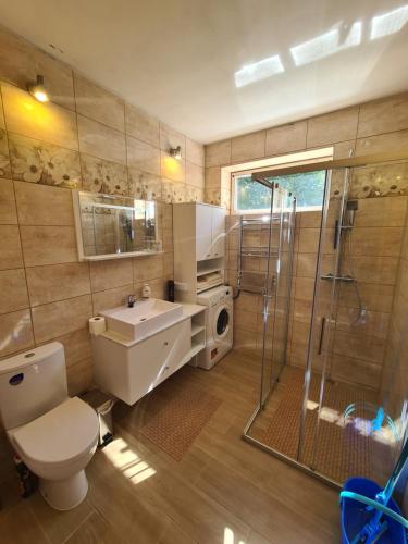 a bathroom with a toilet sink and a shower at Vila Varėna in Varėna