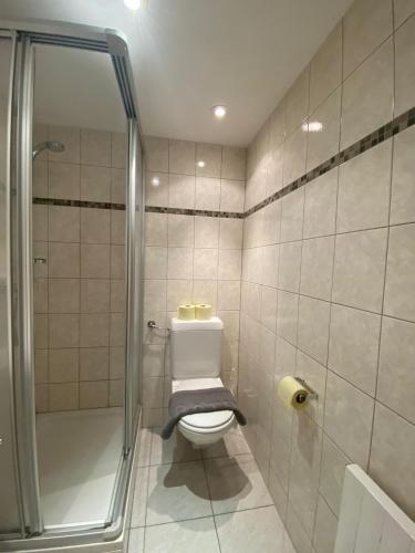 a bathroom with a toilet and a shower at Gasthof Grünsbach in Münster