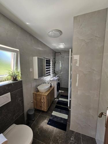a bathroom with a sink and a toilet and a shower at Apartman ANTEO in Slavonski Brod