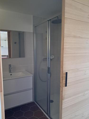 a bathroom with a shower and a sink at Résidence de Tourisme Fior di Rena in Saint-Florent