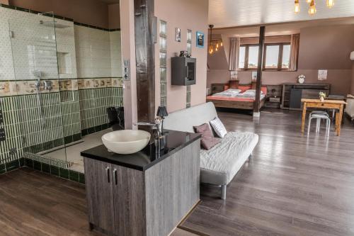a bathroom with a sink and a couch in a room at Határtalan Vendégház in Pilisszentiván
