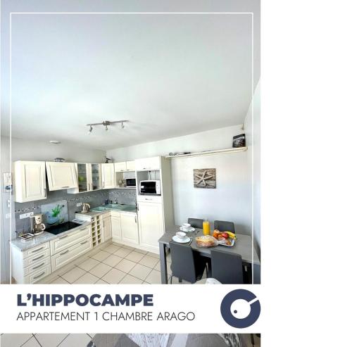L'Hippocampe - Appartement 1 chambre au coeur du quartier Arago