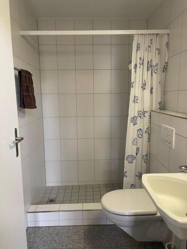 a bathroom with a shower and a toilet and a sink at Tengs in Triboltingen