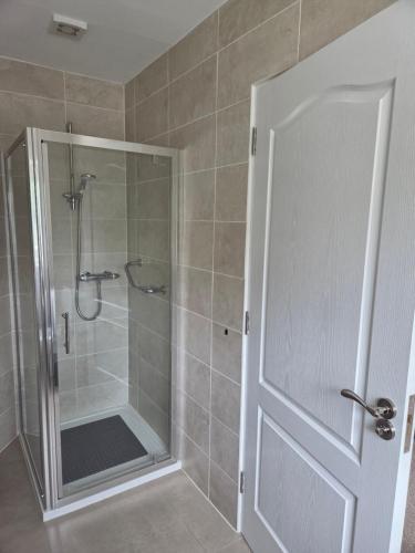 a bathroom with a shower with a glass door at Lilac Manor in Sligo
