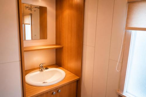 a bathroom with a sink and a mirror at Rustig Chalet Ardennen The Forest Haven in Amblève