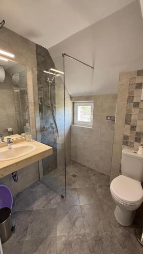 a bathroom with a toilet and a sink and a shower at Семеен хотел Сирена in Ahtopol