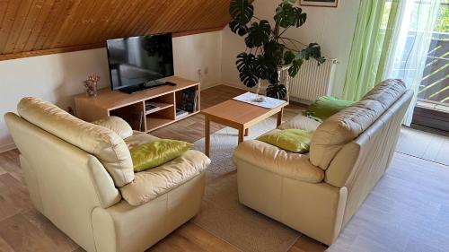 a living room with two chairs and a television at Ferienwohnung Stockrose in Lohme