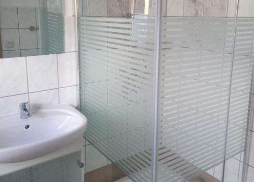a bathroom with a glass shower and a sink at Ferienwohnung Boddennähe in Polchow