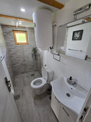 a small bathroom with a toilet and a sink at Brvnare Ljubojević in Kraljevo