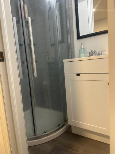 a bathroom with a shower and a sink at Mill pond cozy and private 2 in Richmond Hill