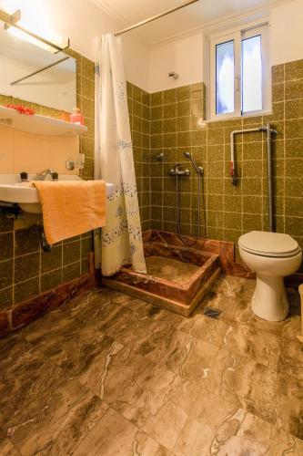 a bathroom with a toilet and a shower and a sink at Asterias in Koronisía