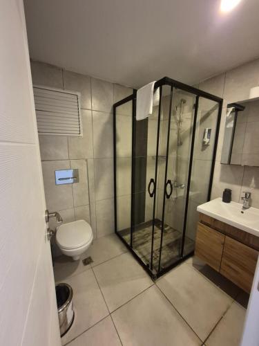 a bathroom with a shower and a toilet and a sink at Likya 202 in Demre
