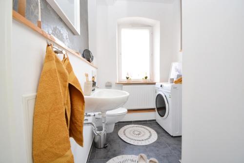 a bathroom with a sink and a washing machine at Apartments in Ebrach am Kloster in Ebrach