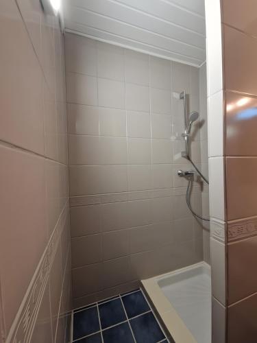 a bathroom with a shower with a blue tile floor at Gîte Le Devant De La Chaux in Pontaix