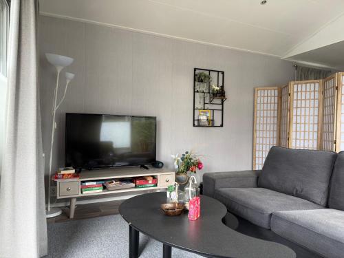 a living room with a couch and a flat screen tv at Natuurhuisje Abcoude - De Smient - Best Family Stay in Abcoude