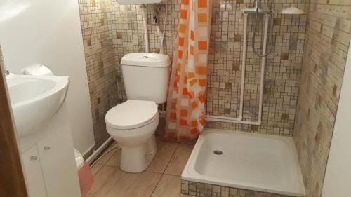 a bathroom with a toilet and a sink and a shower at La căsuța din poveste in Pătîrlagele