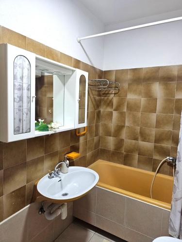 a bathroom with a sink and a tub at Apartmani Banić Apartman Studio 3 in Postira