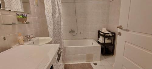 Stylish 1 BDR apartment, Zacharitsa, MH