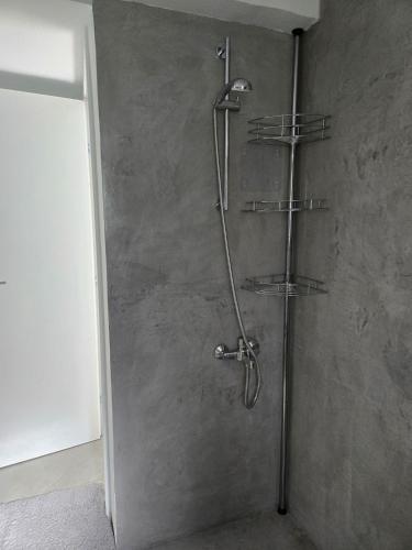 a bathroom with a shower with a shower head at Olive garden cottage, Krines in Vélon
