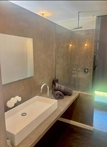 a bathroom with a sink and a shower at Maison agostini in Zonza