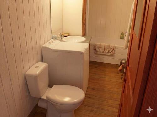 a white bathroom with a toilet and a sink at Volca'séjour in Orcines