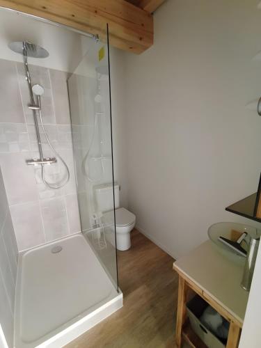 a bathroom with a shower and a toilet at Chambres D'hôtes Les Noisetiers in Saint-Martin-Lestra