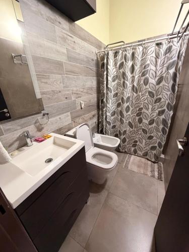 a bathroom with a sink and a toilet and a shower at Mi hogar in Guaymallen