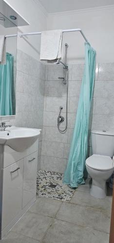 a bathroom with a shower with a toilet and a sink at Il Nido dell'aquila in Sardara