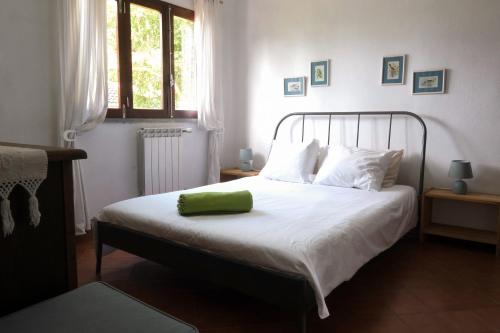 a bedroom with a bed with a green pillow on it at Verdizela Pool & Barbecue Villa in Corroios