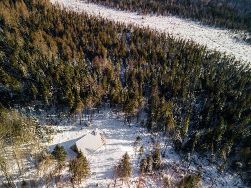 an aerial view of a forest of trees in the snow at Canadian Classic - Spa - Sauna - Fire - Forest in Val-David