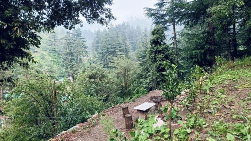 a bench on the side of a hill with trees at Jibhi Dreams in Jibhi