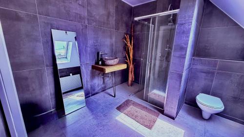 a bathroom with a shower and a toilet at Whirlpool Kamin Sauna Herthasee in Eppenrod