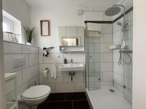 a bathroom with a toilet and a sink and a shower at Ferienwohnung M2 in Husby