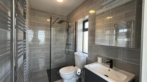 a bathroom with a toilet and a sink and a shower at Calla Retreat in Roundstone