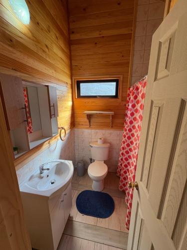 a small bathroom with a toilet and a sink at Parcela Peumayen Casa 4 in Pucura
