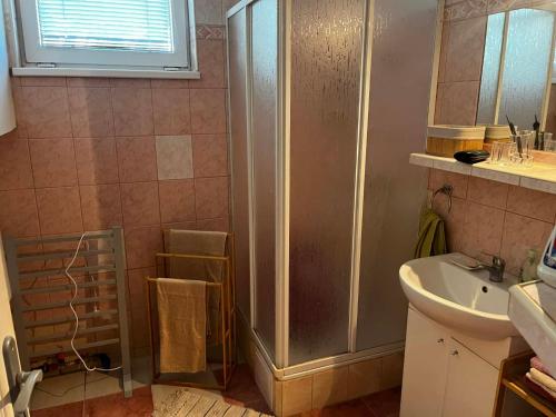 a bathroom with a shower and a sink at Útulný dom blízko Košíc in Sokoľany