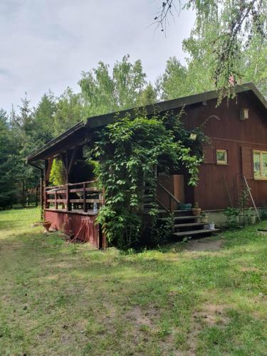 Domek letniskowy