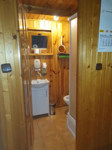 a bathroom with a sink and a toilet at Domek letniskowy in Rogówko