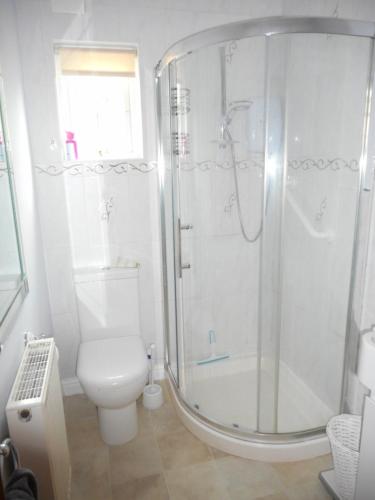 a bathroom with a shower and a toilet at Dripshill Lodge in Severn Stoke