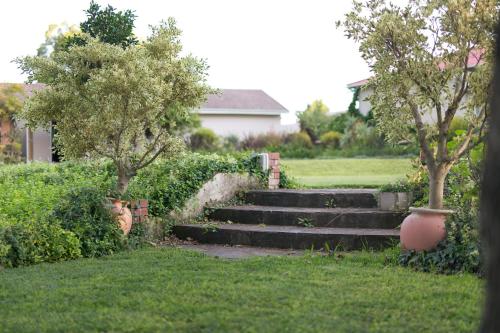a set of stairs in a yard with trees at Clivedon Cottage in Sunland