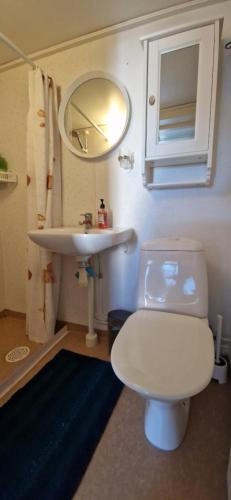 a bathroom with a toilet and a sink and a mirror at Rum för två - centralt i Borgholm in Borgholm