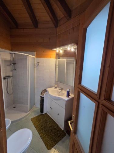 a bathroom with a sink and a toilet and a shower at La Baita di Lusso Bagnone in Bagnone