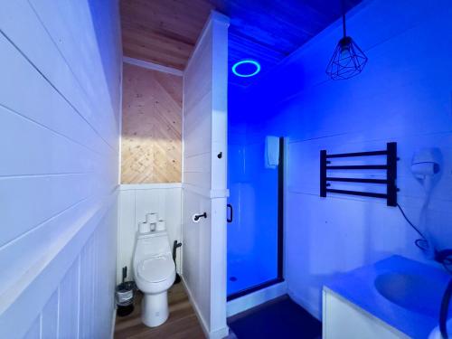 a blue bathroom with a toilet and a tub at New Tiny cabin Hot tub Firepit Fenced yard in Sevierville