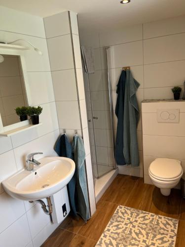 a bathroom with a sink and a toilet and a shower at Heckenstübchen in Simmerath